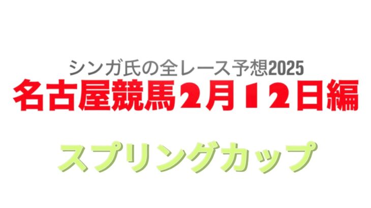 2月12日名古屋競馬【全レース予想】2025スプリングカップ