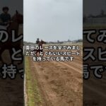 2月19日の大井4R推奨馬 #競馬  #競馬予想