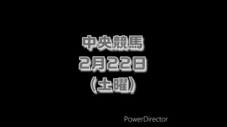 2/22 土曜  中央競馬 仕込み #競馬 #中央競馬 #競馬予想 #shorts