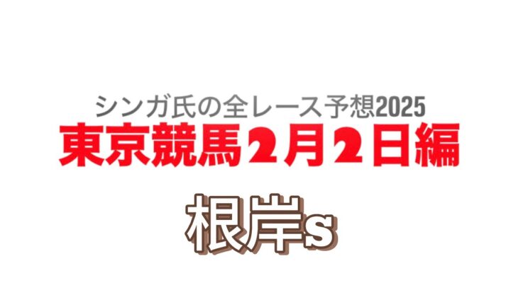 2月2日東京競馬【全レース予想】2025根岸S