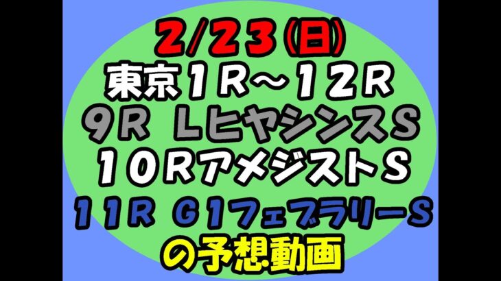 2/23東京競馬の1R～12Rの予想動画