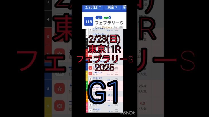 2/23(日)フェブラリーS2025（東京11R）#win5 #競馬予想 #中央競馬予想 #東京競馬 #中央競馬ライブ #競馬 #中央競馬 #馬券  #jra #ダート #G1　#ウマキんグ #府中