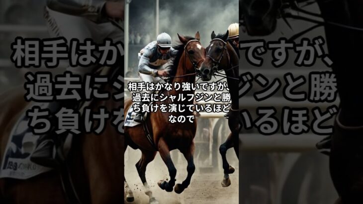 2月6日の川崎11R推奨馬 #競馬 #競馬予想