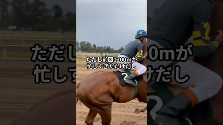 2月7日の川崎10R推奨馬 #競馬 #競馬予想