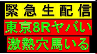 【激熱平場大穴予想】 2月9日 東京8R 予想【今の東京のダートは得意的/だから狙う馬/生配信限定予想】