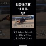 共同通信杯　注目馬　3頭　　　　　　　#競馬 #jra #競馬予想 #共同通信杯 #マスカレードボール#レッドキングリー#リトルジャイアンツ