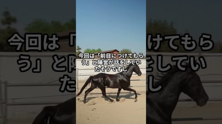 3月1日の中山2R推奨馬 #競馬 #競馬予想