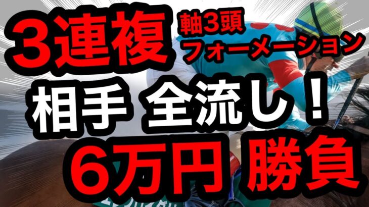 【馬券勝負】3連複フォーメーション、人気馬2頭+穴馬1頭、軸馬3頭の合計6万円の大勝負