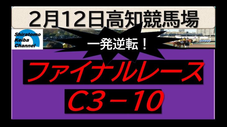 【競馬予想】ファイナルレースC３－１０～２０２５年２月１２日 高知競馬場 ：２－２９