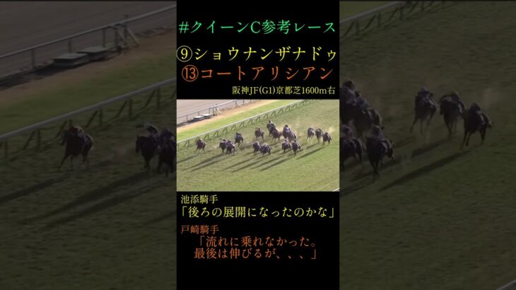 ［クイーンC］阪神JF組の実力はいかに！！　#競馬#競馬予想#shorts#クイーンC#ショウナンザナドゥ#コートアリシアン