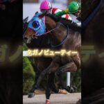 G1フェブラリーSの穴馬を3頭紹介＃競馬＃競馬予想＃ガイアフォース＃サンライズジパング＃タガノビューティー