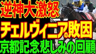 【チェルヴィニアの敗因はこれ！】ヨーホーレイクが勝つもこのレースの意味はただのG2…先に繋がらない…池添謙一と川田将雅のペース判断ミスも痛い…2025年京都記念回顧動画【競馬ゆっくり】【私の競馬論】