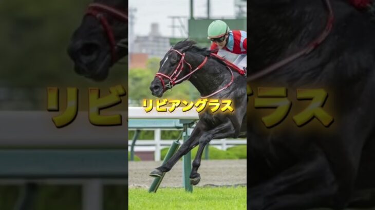 G2京都記念の穴馬を3頭紹介＃競馬＃競馬予想＃ヨーほーレイク＃エヒト＃リビアングラス