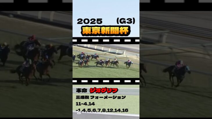 【東京新聞杯(G3)】”全頭診断” #競馬 #競馬予想 #東京新聞杯 #ブレイディヴェーグ #ボンドガール #ジオグリフ #ウォーターリヒト #ジュンブロッサム #サクラトゥジュール