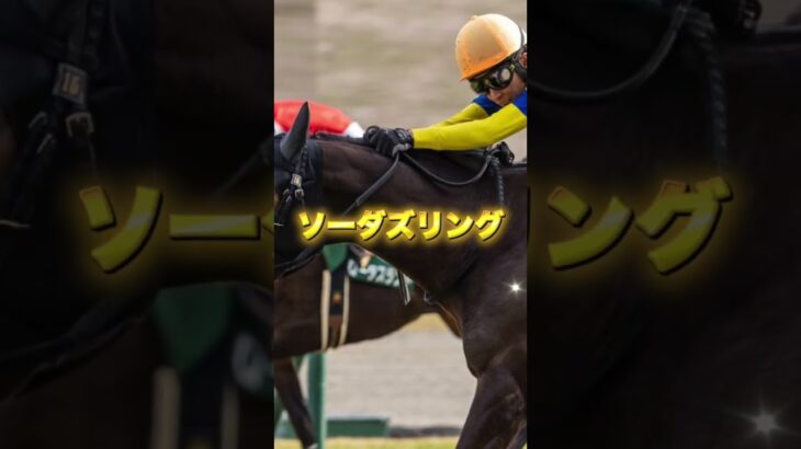 G3阪急杯の注目馬を3頭紹介＃競馬＃競馬予想＃フォーチュンタイム＃ソーダズリング＃ダノンマッキンリー