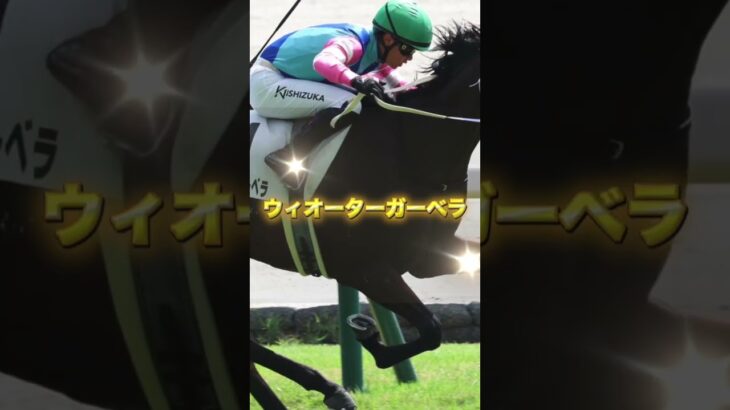 G3きさらぎ賞の穴馬を3頭紹介＃競馬＃競馬予想＃スリーキングス＃ウォーターガーベラ＃リンクスティップ