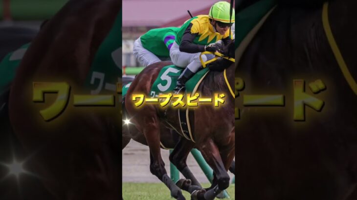 G3ダイヤモンドSの注目馬を3頭紹介＃競馬＃競馬予想＃ヘデントール＃ワープスピード＃シュトルーヴェ