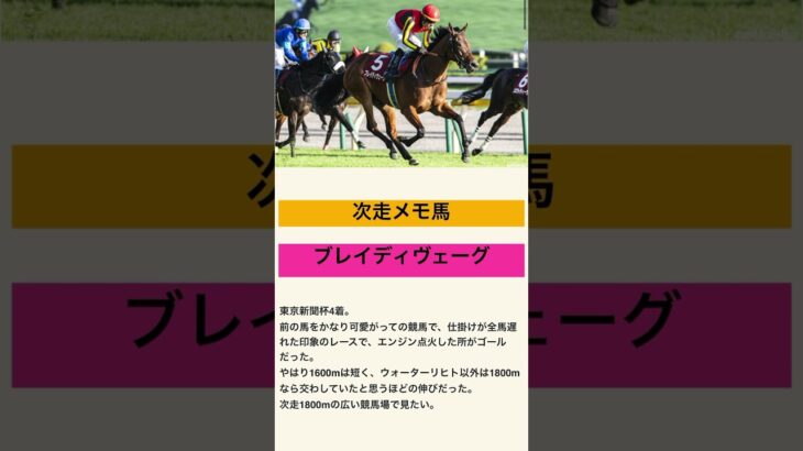 ブレイディヴェーグ！やっぱりGI級！#2025 #競馬#競馬予想#ブレイディヴェーグ