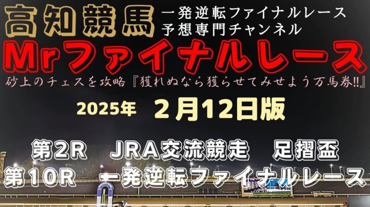 『雨が降ったのでスピードが有りそうな馬をチョイス⁈』Mrファイナルレースの高知競馬予想20250212版