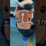 フェブラリーS予想動画！！　#競馬 #競馬予想 #わさるとキヨキジ