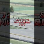 【競馬予想】フェブラリーS 2025ホルモン推奨馬 #競馬 #フェブラリーステークス #ミッキーファイト #フォーエバーヤング #R&MForever #おひさ #今年はモン太の年