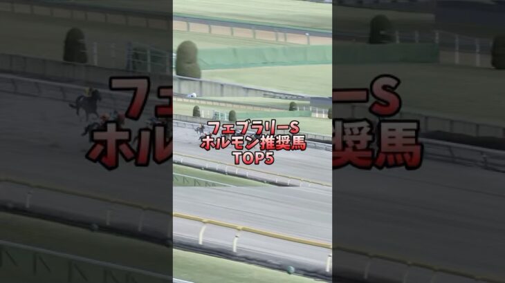 【競馬予想】フェブラリーS 2025ホルモン推奨馬 #競馬 #フェブラリーステークス #ミッキーファイト #フォーエバーヤング #R&MForever #おひさ #今年はモン太の年