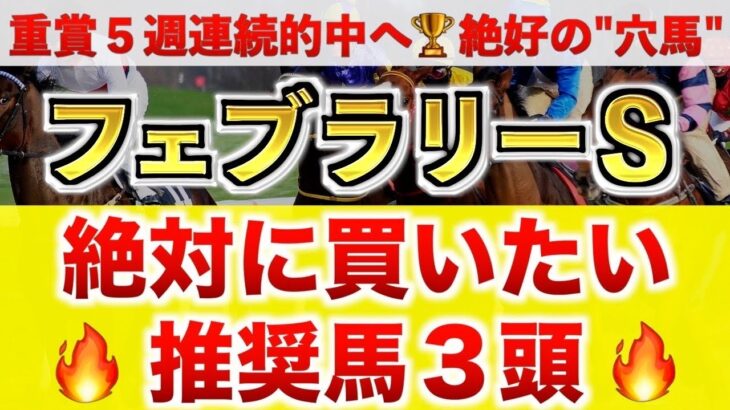 【フェブラリーS2025 予想】コスタノヴァ過去最高のデキ？プロが”全頭診断”から導く絶好の3頭！