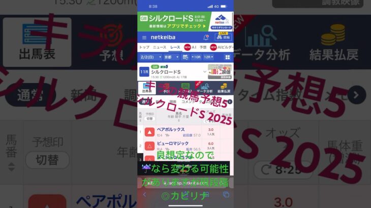 シルクロードS予想　2025  キラの競馬予想5