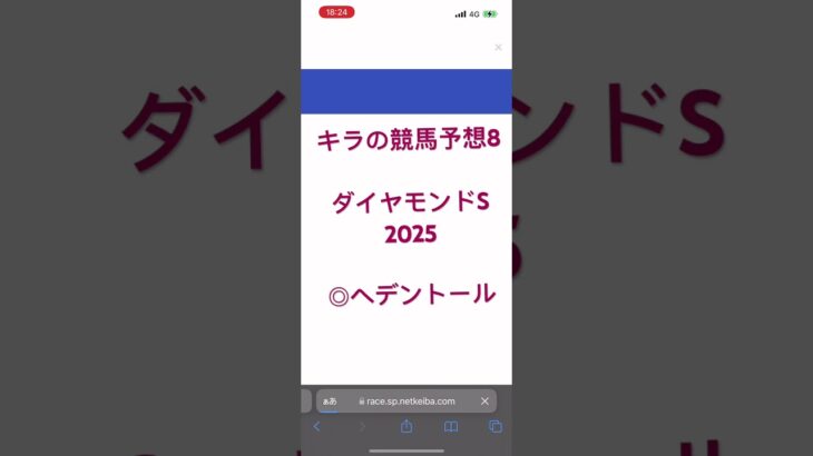 ダイヤモンドS予想　2025 キラの競馬予想8