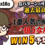 【WIN5予想 2月16日】Bパターンのカギは共同通信杯だ！1番人気の馬は狙うな危険！？