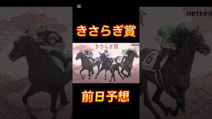 競馬の部屋！きさらぎ賞前日予想！ #競馬予想動画 #競馬予想 #競馬#shorts