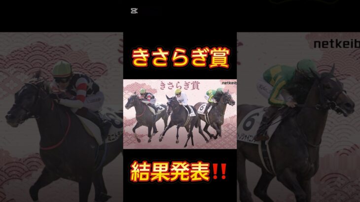 競馬の部屋！きさらぎ賞結果発表‼️ #競馬予想動画 #競馬予想 #shorts