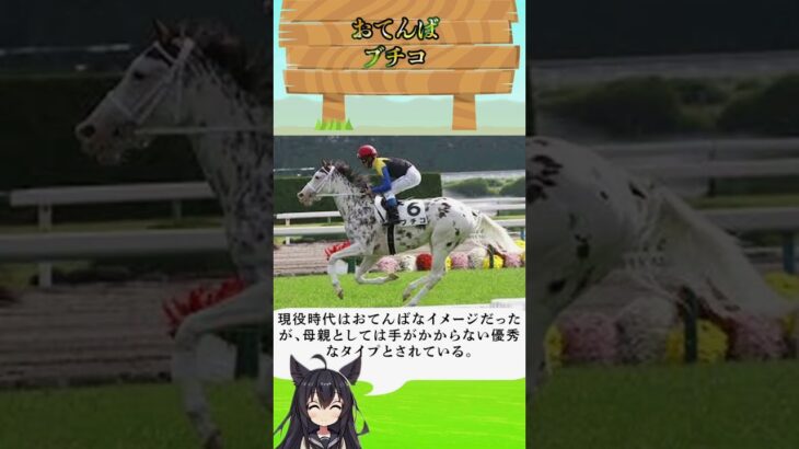 てんはブデコさん#競馬 #競馬予想 #馬 #shorts