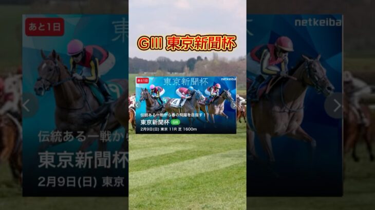 東京新聞杯最終予想！！#競馬 #競馬予想 #競馬予想動画 #東京新聞杯