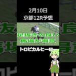 【競馬予想】２月１０日京都１２Ｒ予想（最終レース）