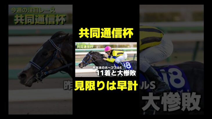 ダービーでクロワデュノールに勝つとしたら？ #競馬 #競馬予想 #共同通信杯 #クイーンカップ