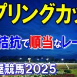 スプリングカップ２０２５【名古屋競馬予想】西日本交流で他地区からも有力馬が参戦しハイレベルなレース！？