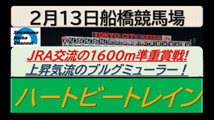 【競馬予想】準重賞 ハートビートレイン～２０２５年２月１３日 船橋競馬場 ：２－３１