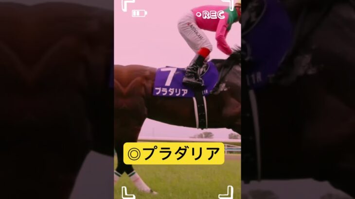 #京都記念 #競馬 #競馬予想 #競馬予想家 #競馬初心者 #競馬好きな人と繋がりたい #重賞競走