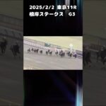 根岸ステークス　もちおの当たらない予想　#競馬 #競馬予想 #ウマ娘 #根岸ステークス