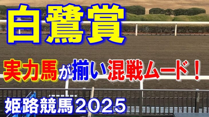 白鷺賞２０２５【姫路競馬予想】地元馬が遠征馬を蹴散らす！？