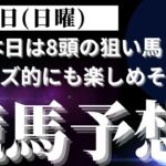 【競馬予想】２月２日（日曜）平場勝負レース該当馬８レースの配信！オッズ的にもそこそこ楽しめそうな狙い馬！