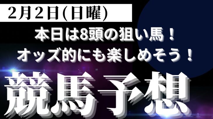 【競馬予想】２月２日（日曜）平場勝負レース該当馬８レースの配信！オッズ的にもそこそこ楽しめそうな狙い馬！