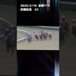 京都記念　もちおの当たらない予想　#競馬 #競馬予想動画 #競馬予想 #京都記念