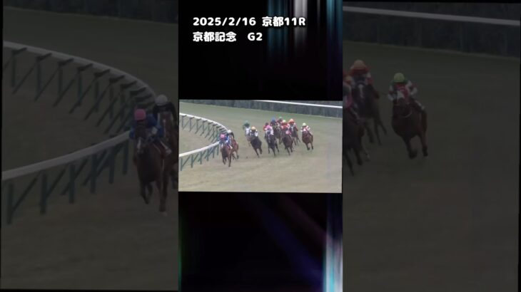 京都記念　もちおの当たらない予想　#競馬 #競馬予想動画 #競馬予想 #京都記念