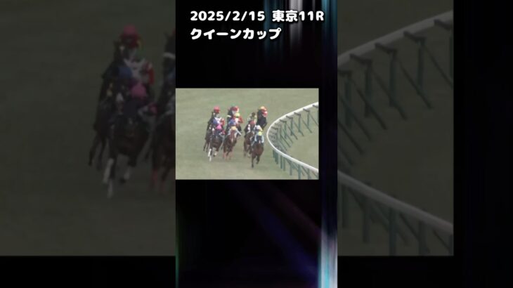 クイーンカップ　もちおの当たらない予想　#競馬 #競馬予想動画 #競馬予想 #クイーンカップ