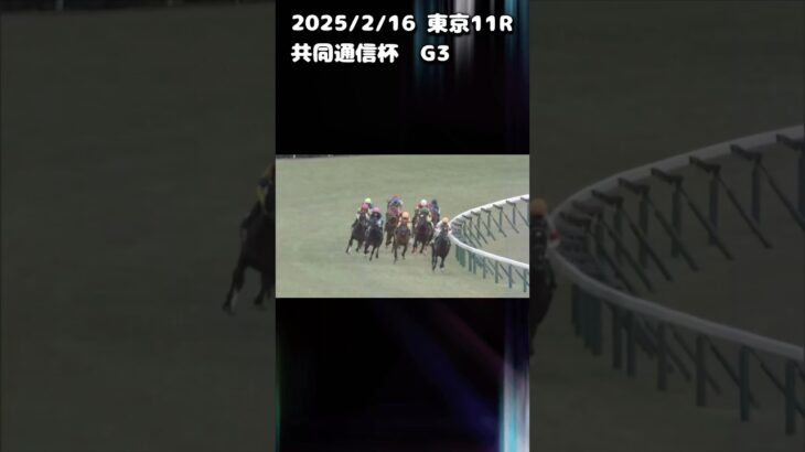 共同通信杯　もちおの当たらない予想　#競馬 #競馬予想動画 #競馬予想 #共同通信杯