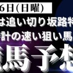 【競馬予想】２月１６日（日曜）平場勝負レース該当馬７レース！最終追い切り坂路特集（坂路時計が速い狙い馬を集めました）