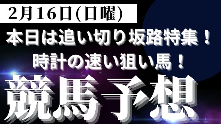 【競馬予想】２月１６日（日曜）平場勝負レース該当馬７レース！最終追い切り坂路特集（坂路時計が速い狙い馬を集めました）