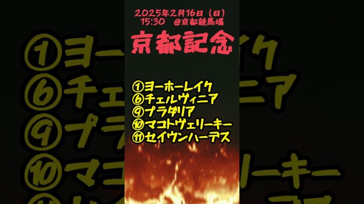 京都記念🐎みんなは誰にかけるの？#京都記念 #競馬予想#ヨーホーレイク #チェルヴィニア #プラダリア #マコトヴェリーキー #セイウンハーデス